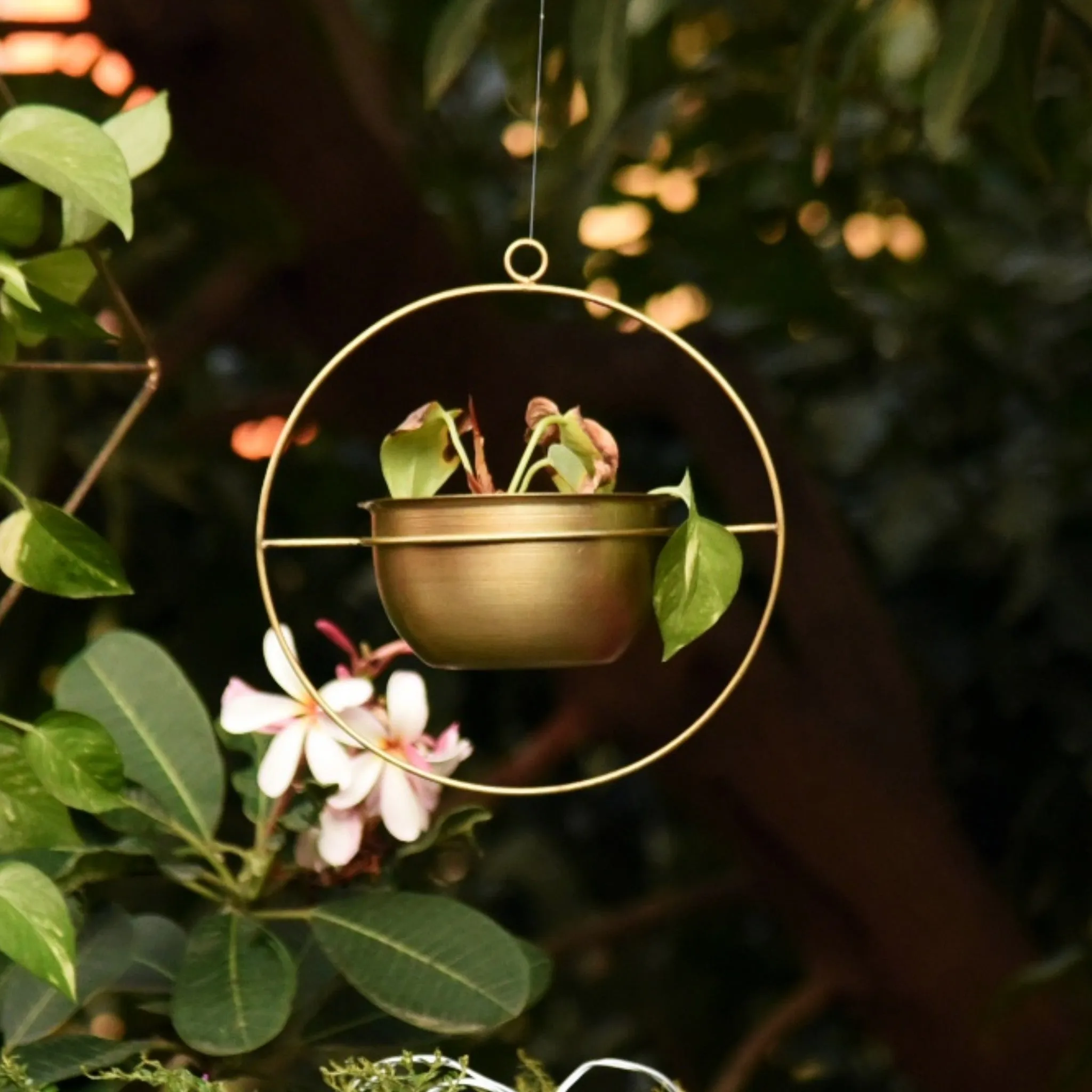 Set of 2 Metal Hanging Planters in Gold Finish - Choose Combo