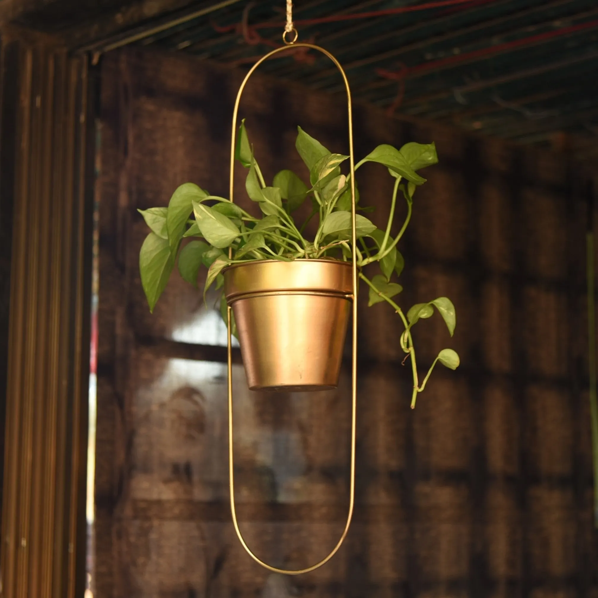 Set of 2 Metal Hanging Planters in Gold Finish - Choose Combo