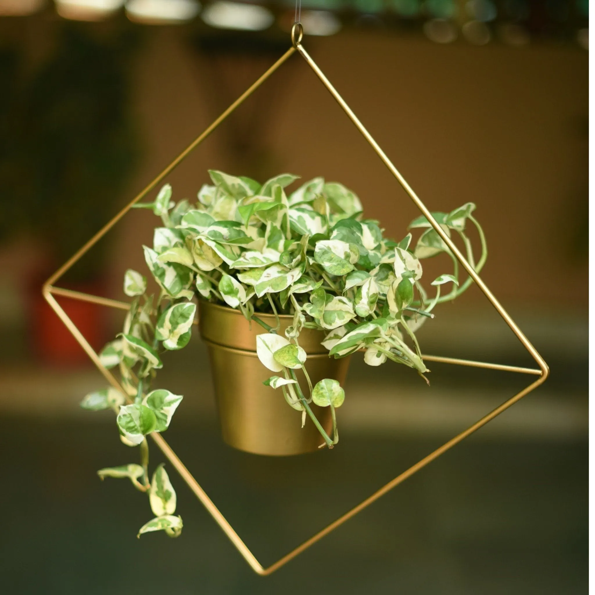Set of 2 Metal Hanging Planters in Gold Finish - Choose Combo