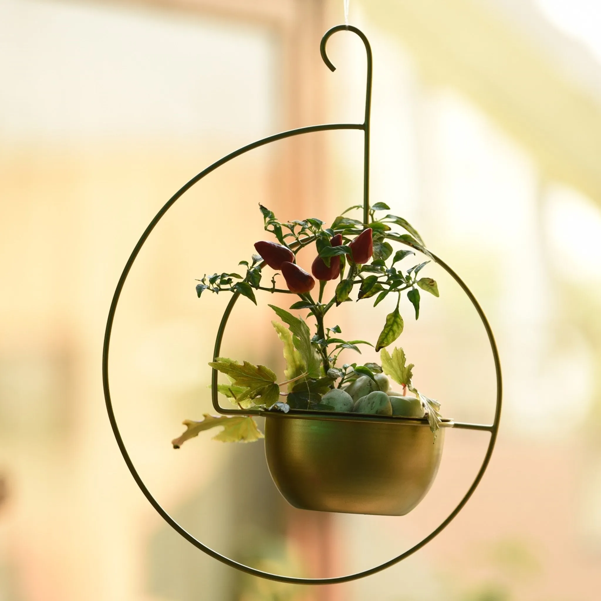 Set of 2 Metal Hanging Planters in Gold Finish - Choose Combo