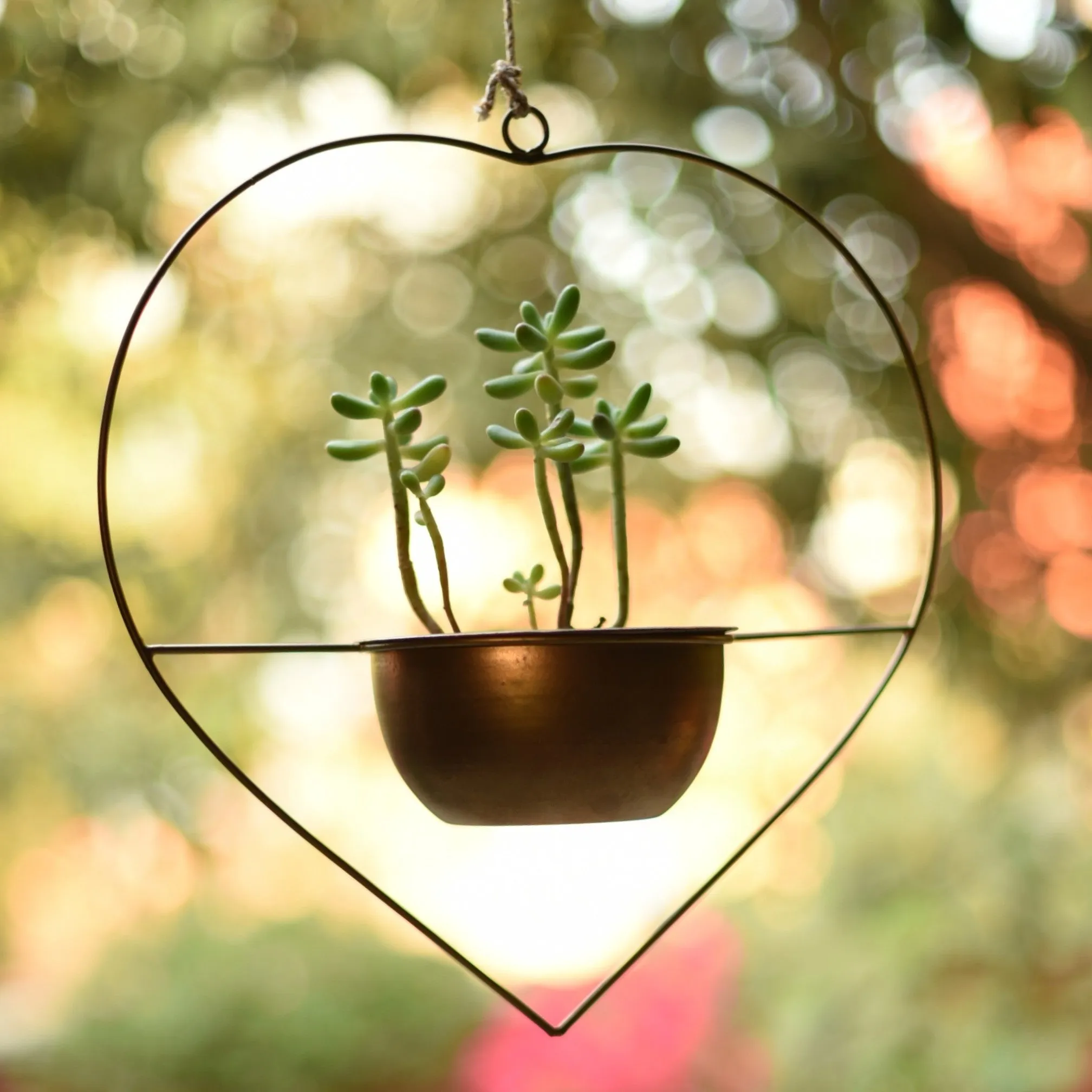Set of 2 Metal Hanging Planters in Gold Finish - Choose Combo