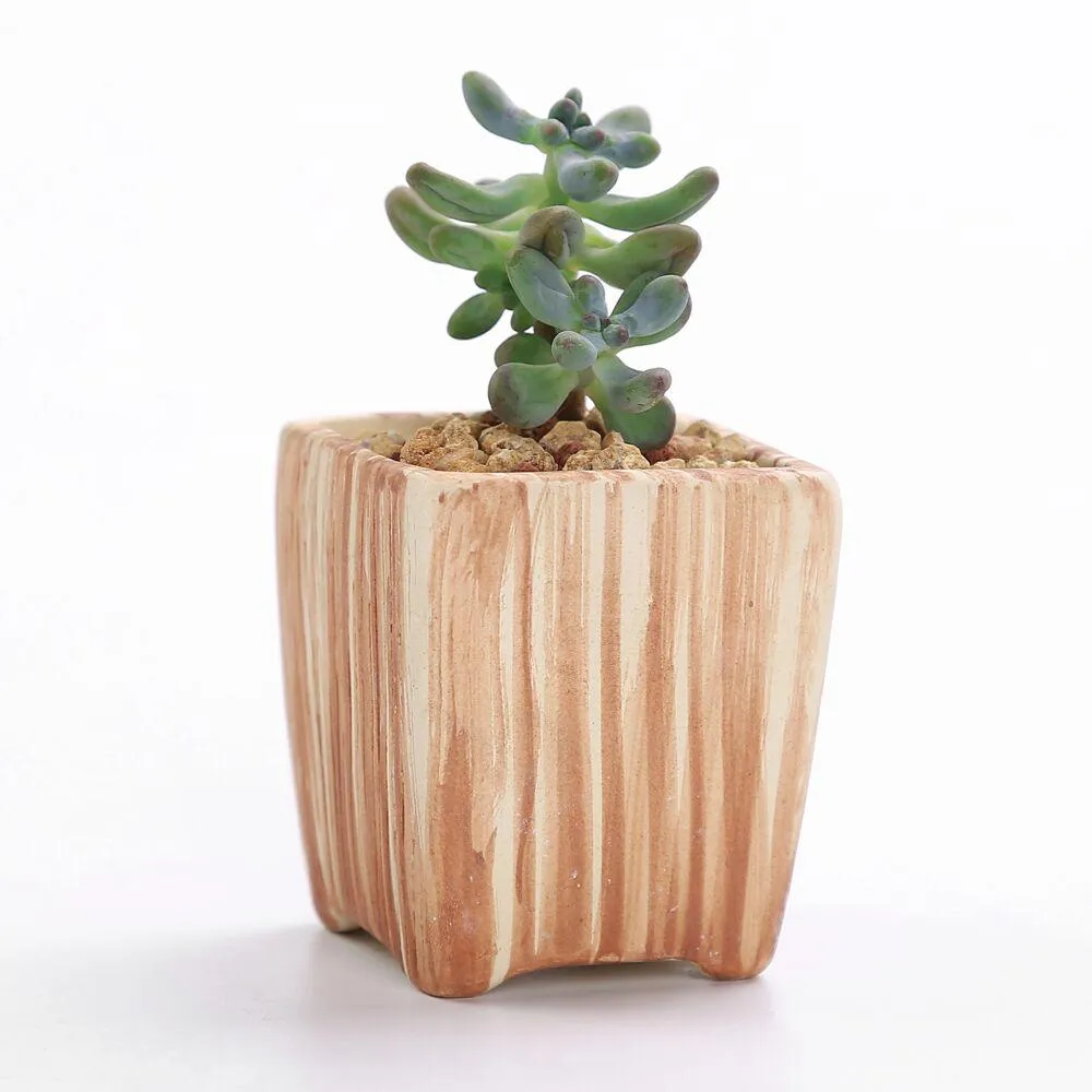 Set of 6 Ceramic Wooden Pattern Flower Planter