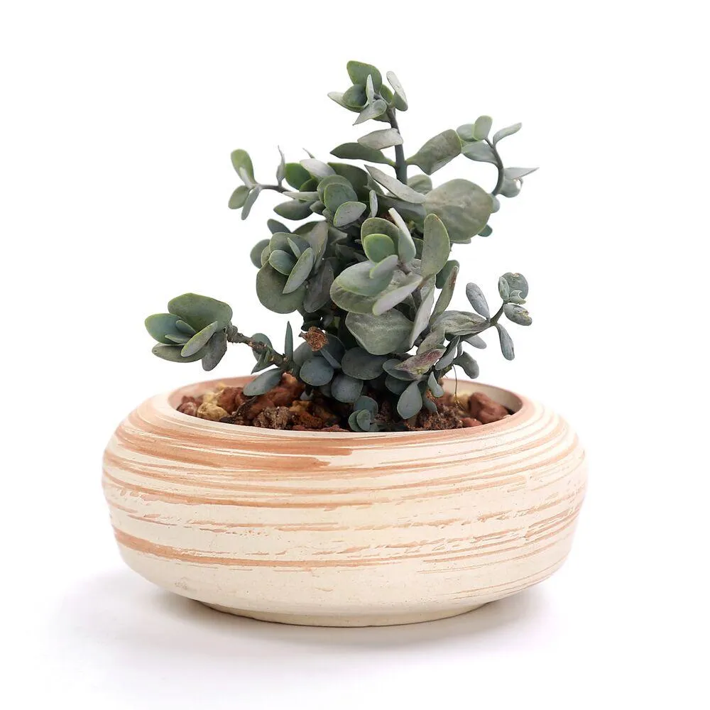 Set of 6 Ceramic Wooden Pattern Flower Planter