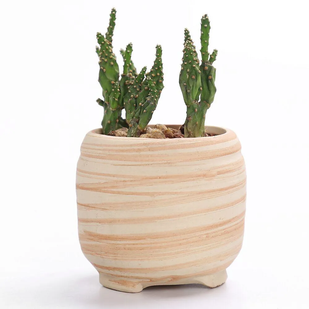 Set of 6 Ceramic Wooden Pattern Flower Planter