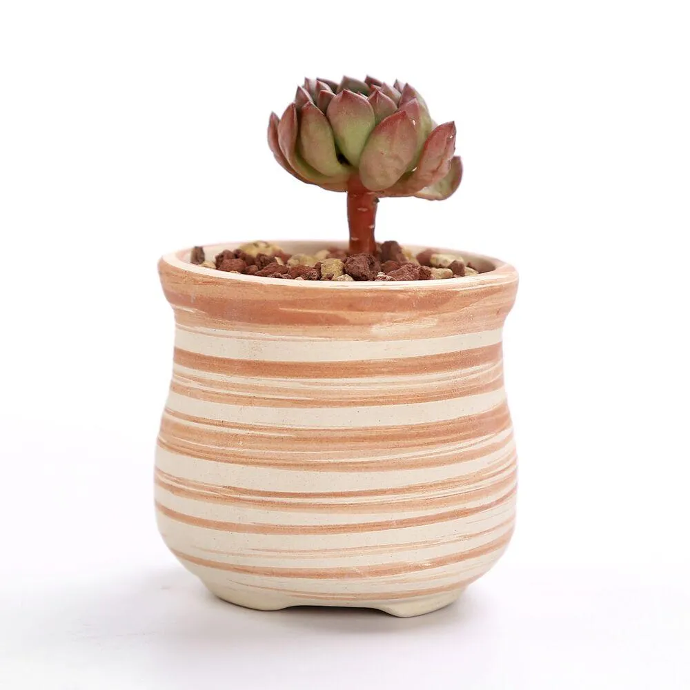 Set of 6 Ceramic Wooden Pattern Flower Planter