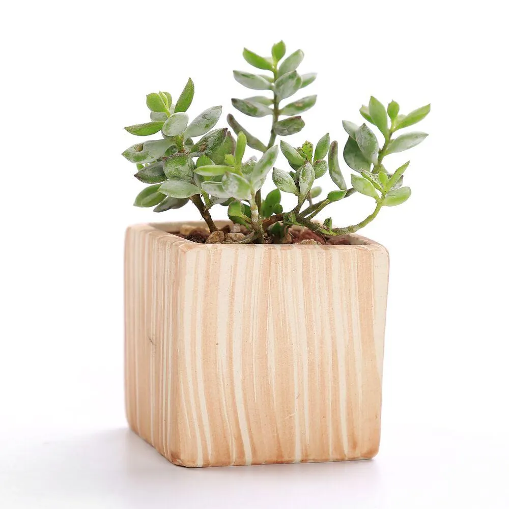 Set of 6 Ceramic Wooden Pattern Flower Planter