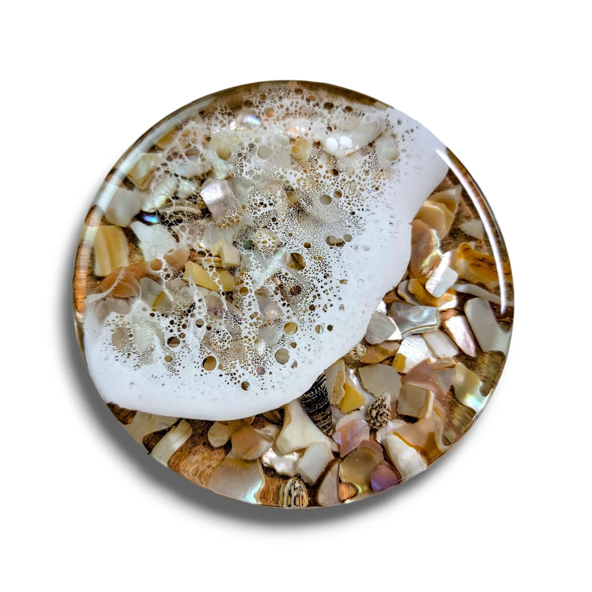 Shell Tide Pool Coasters