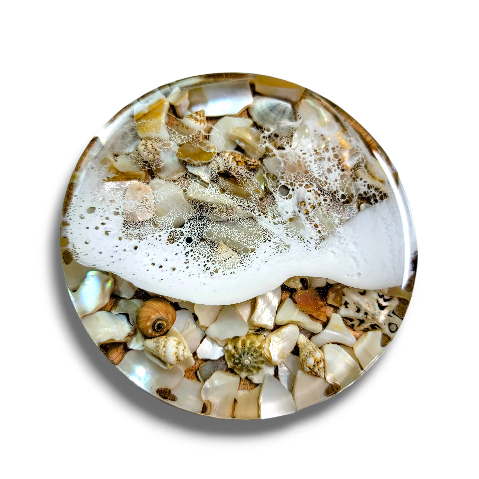 Shell Tide Pool Coasters