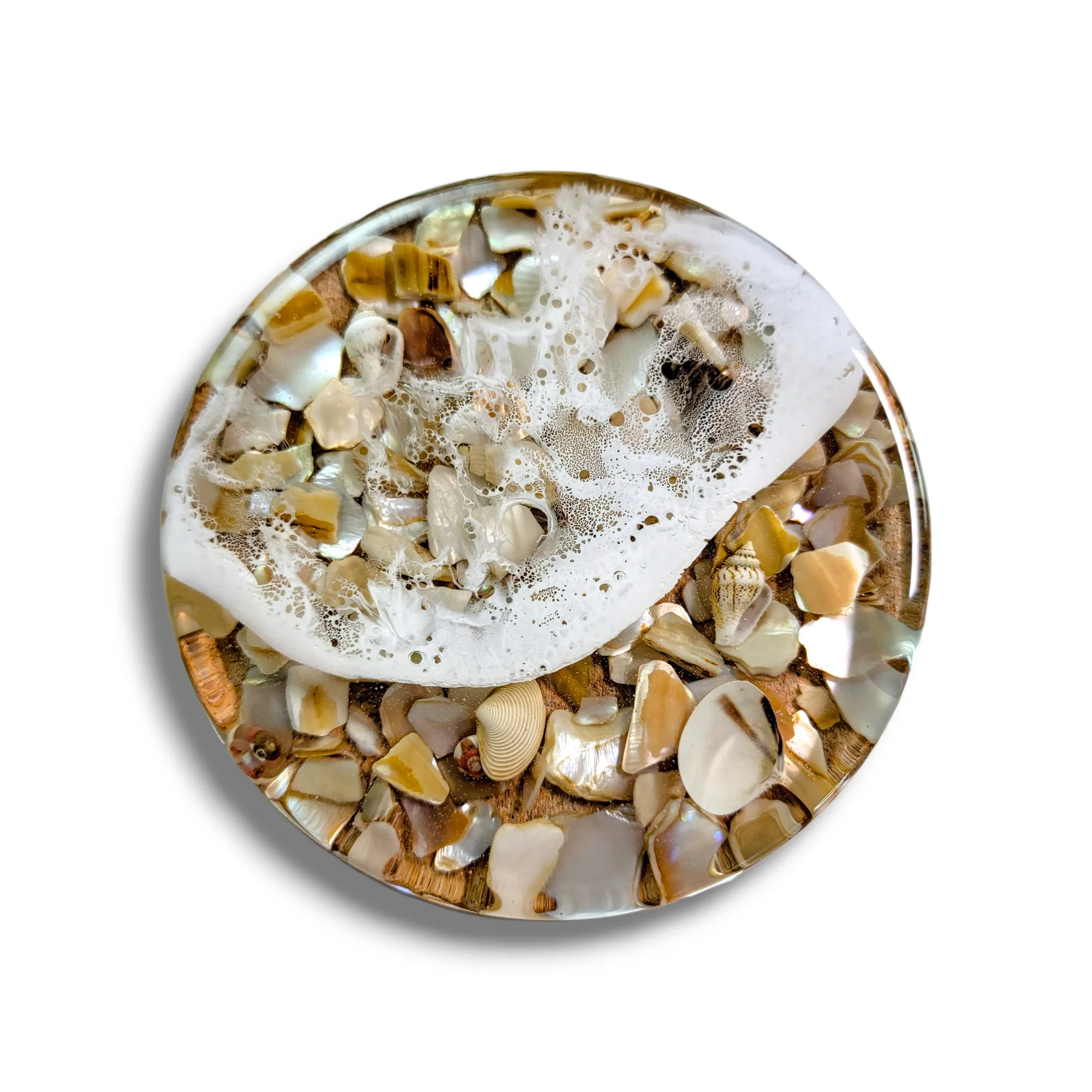 Shell Tide Pool Coasters