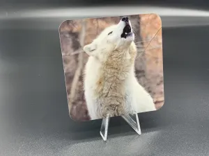 The Howl Photographic Coaster