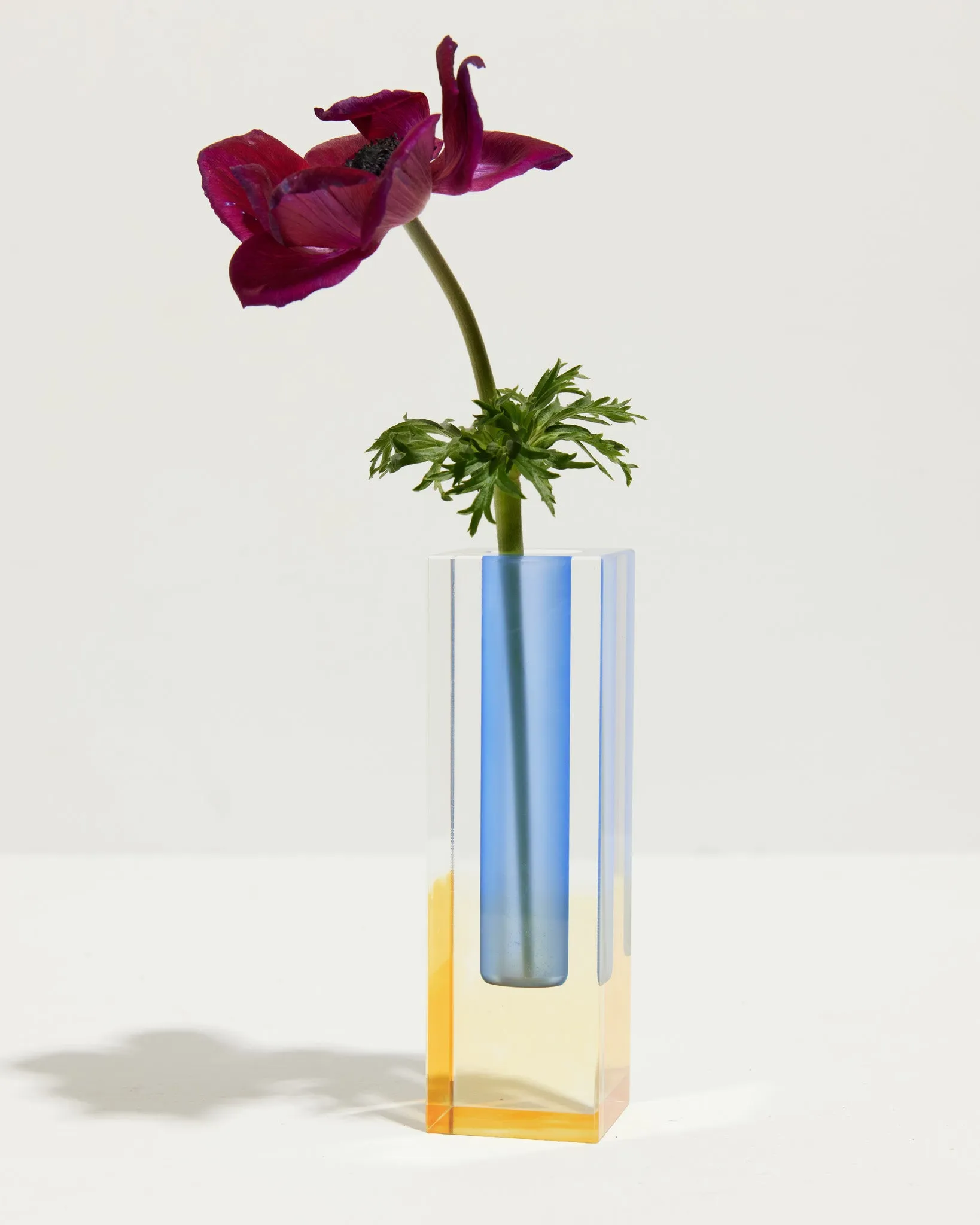 The World Through Pink Sunglasses Vases