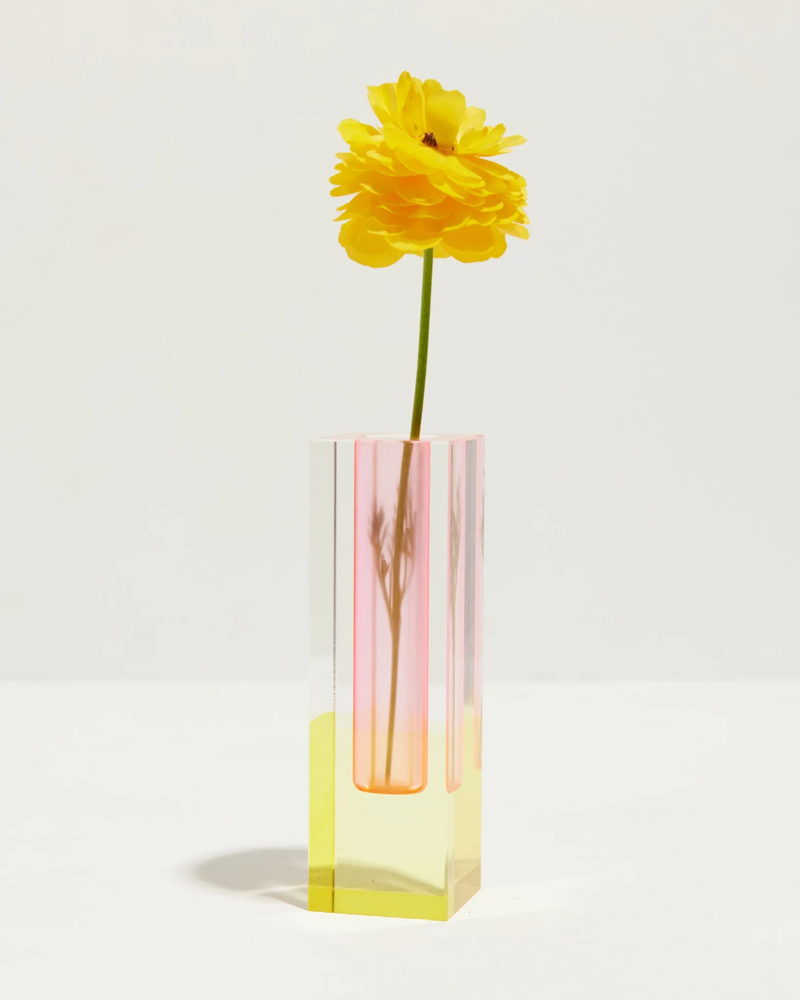 The World Through Pink Sunglasses Vases