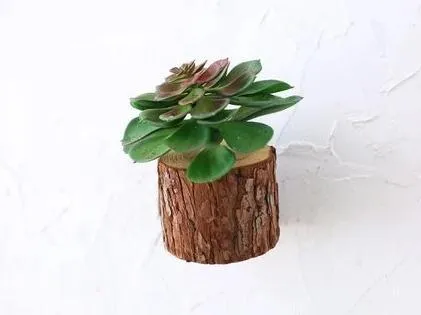 Woody - 3D Imitation Trunk Wall Planter